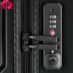 Briggs & Riley Torq Extra Large Trunk Spinner
