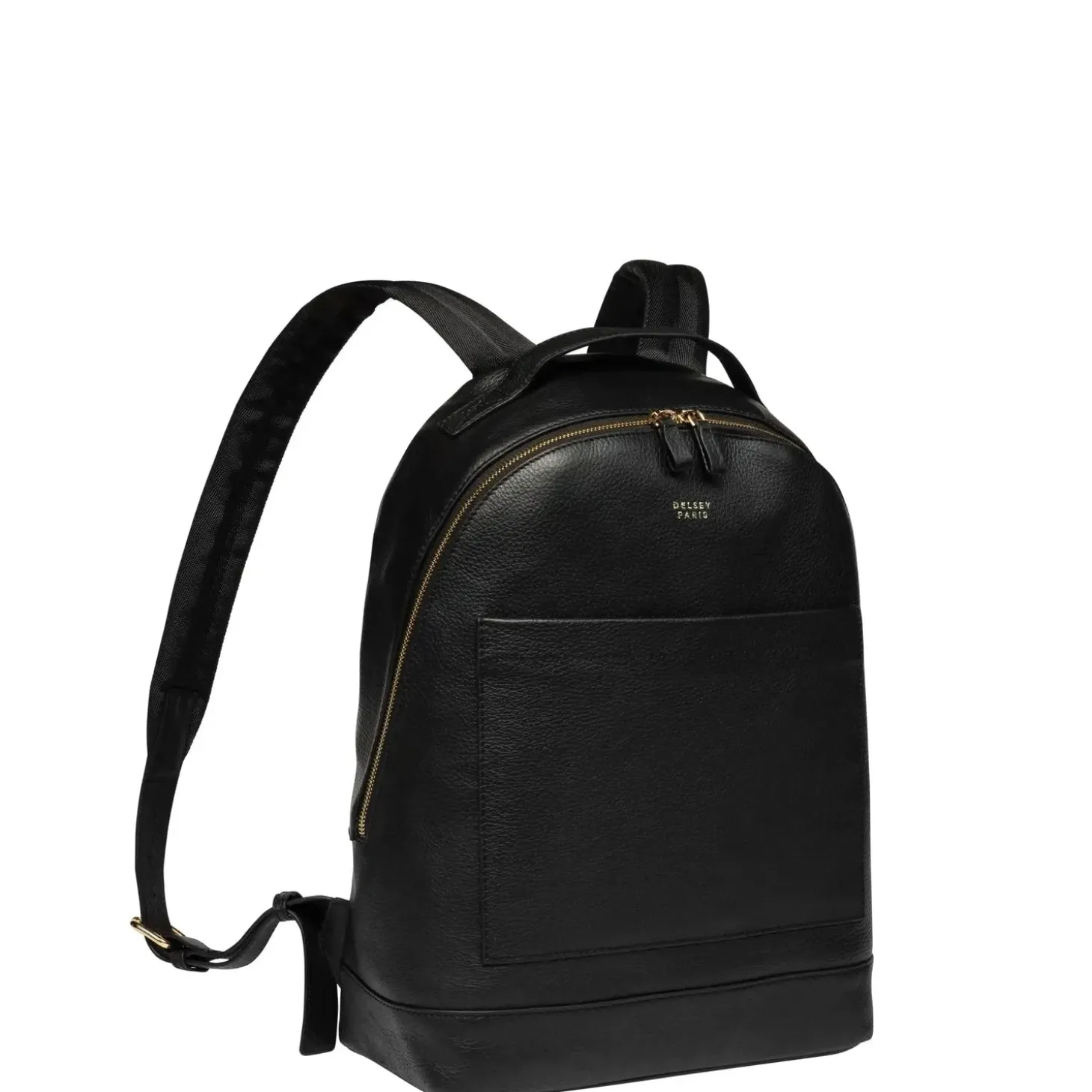 Delsey Leather Collection Backpack