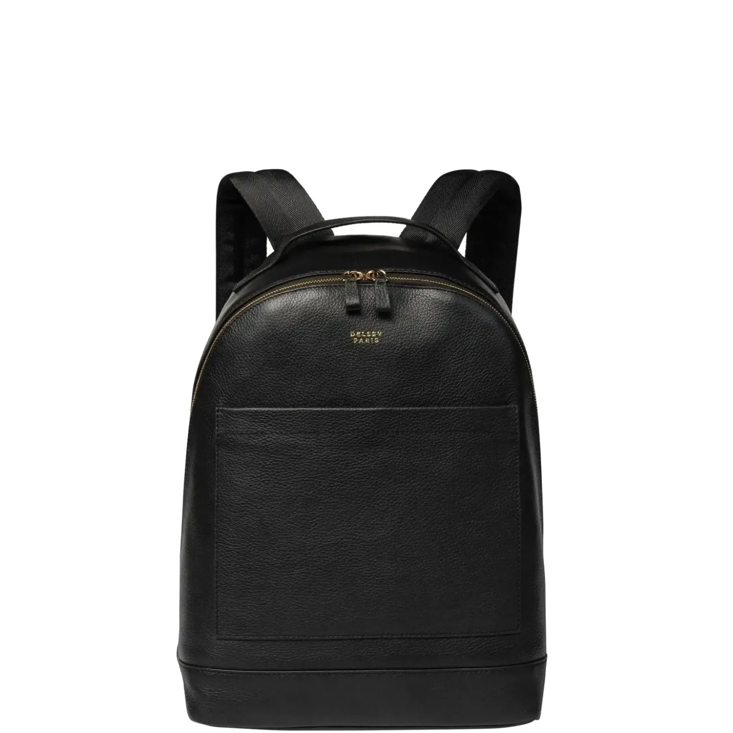 Delsey Leather Collection Backpack