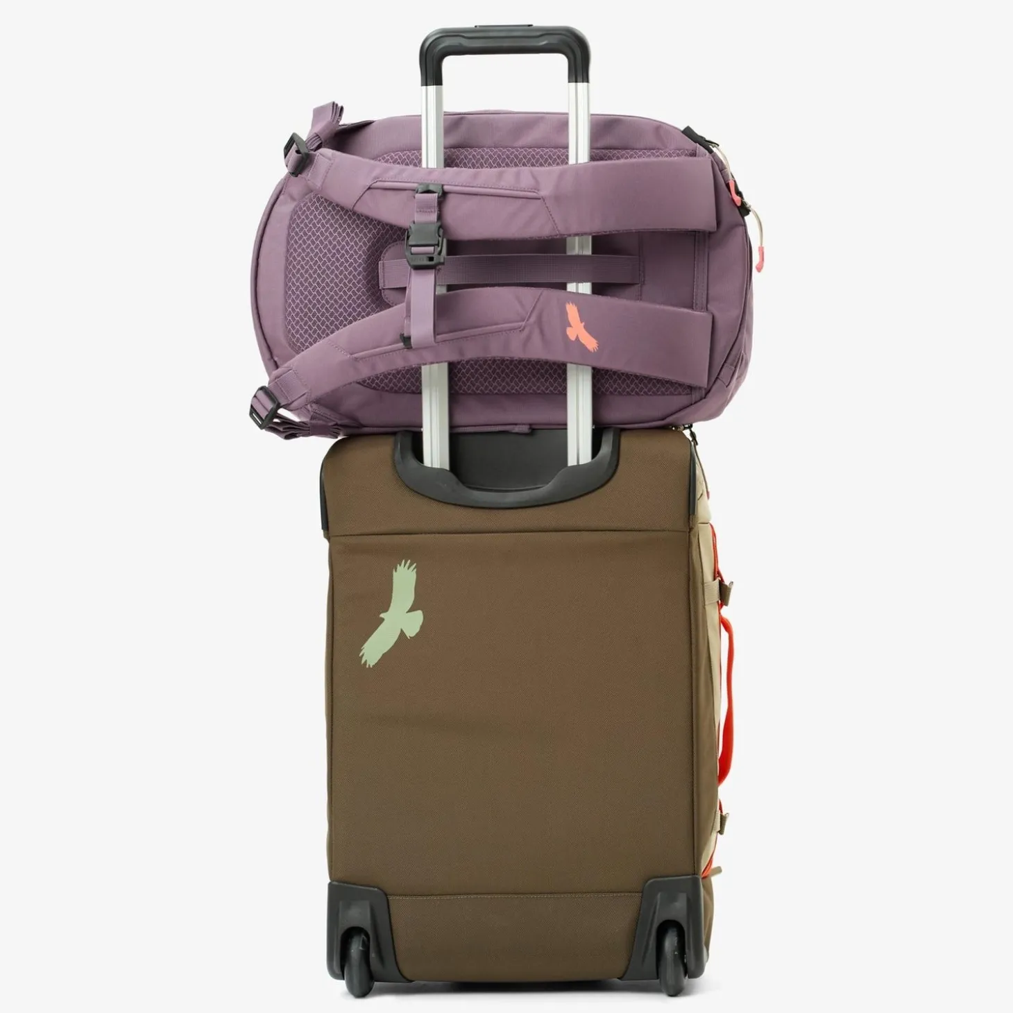 Eagle Creek Tour Lite Travel Pack 38L