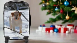 MyFly Bag Personalized Carry-On Luggage