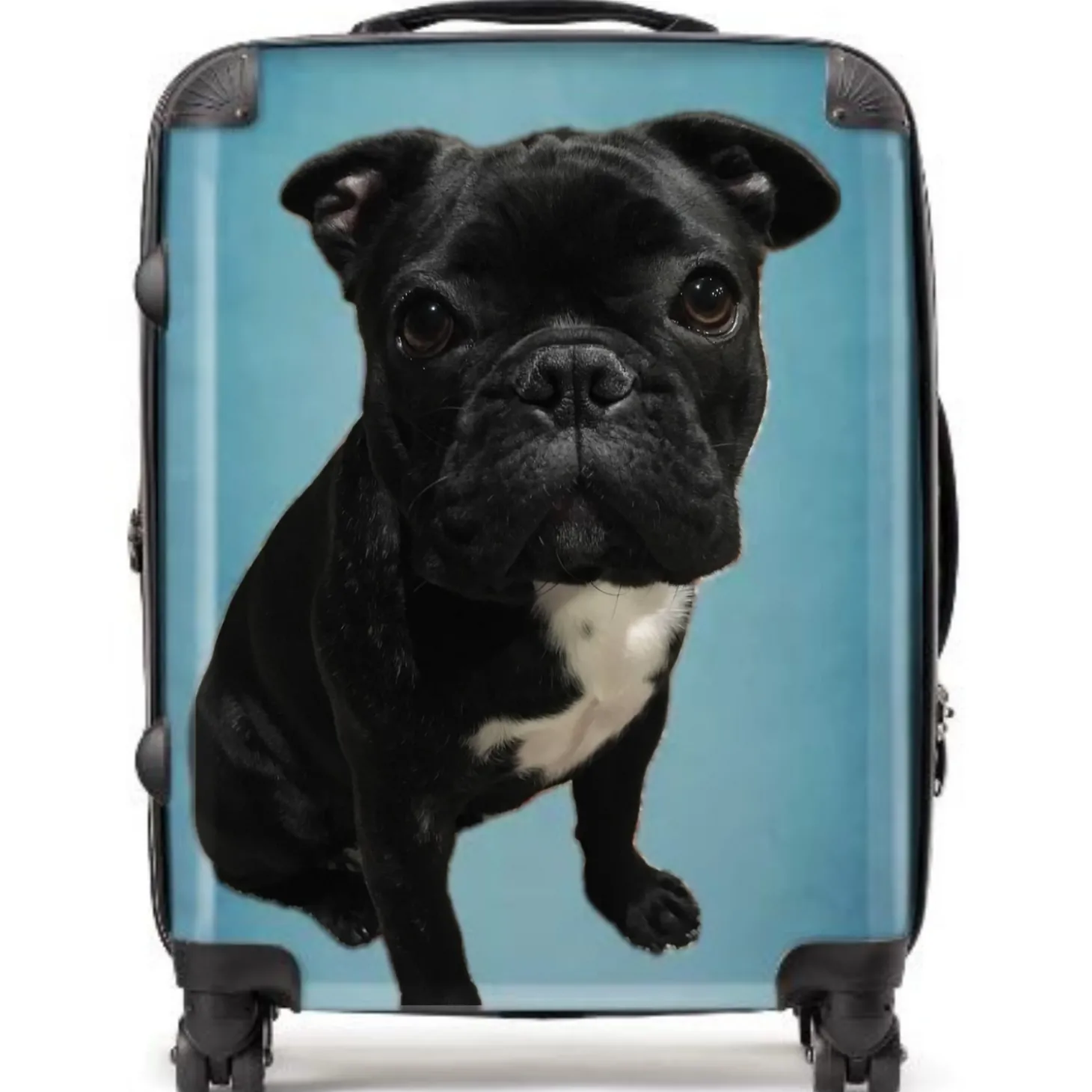 MyFly Bag Personalized 28" Luggage