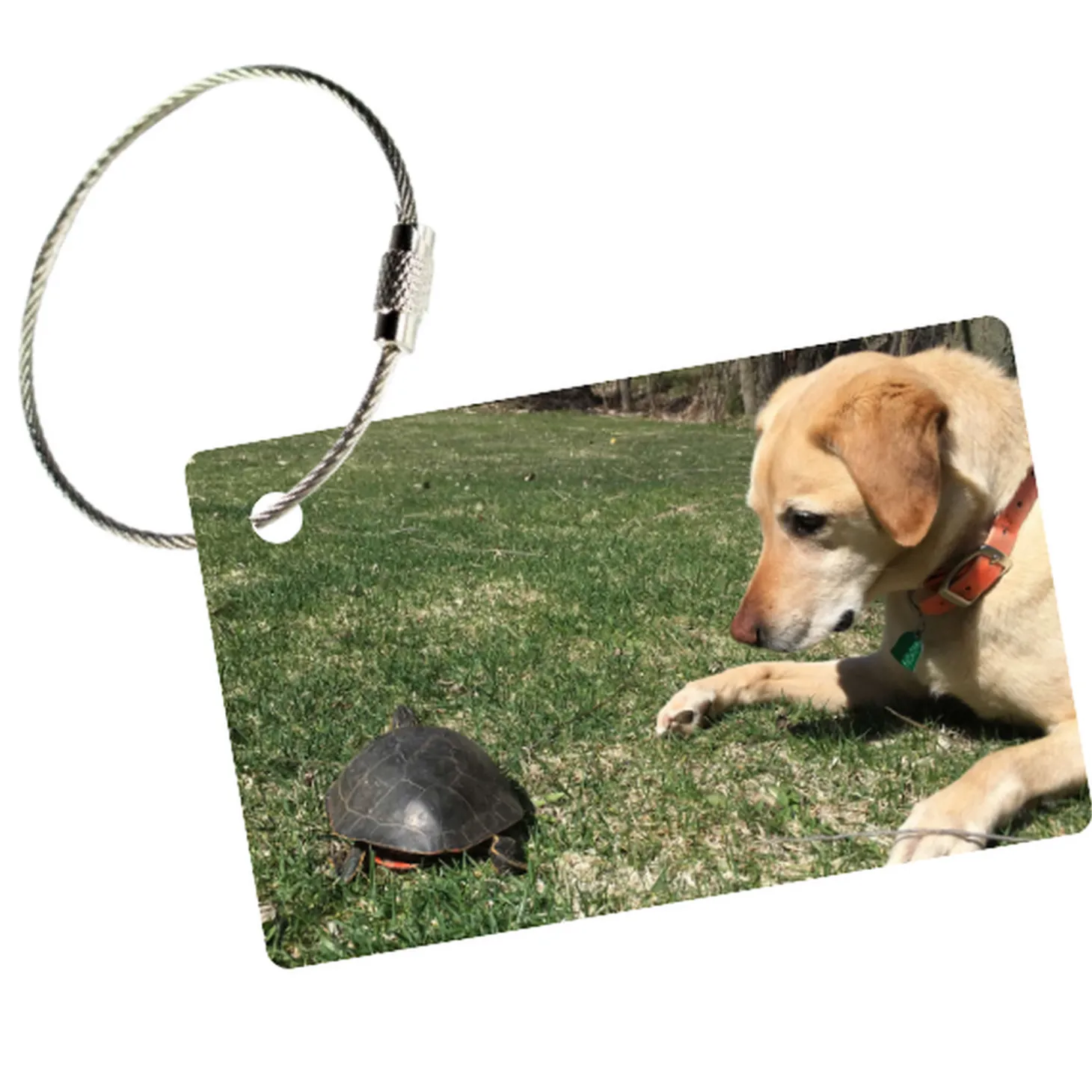 MyFly Personalized Luggage Tag - Horizontal with Metal Loop Upgrade