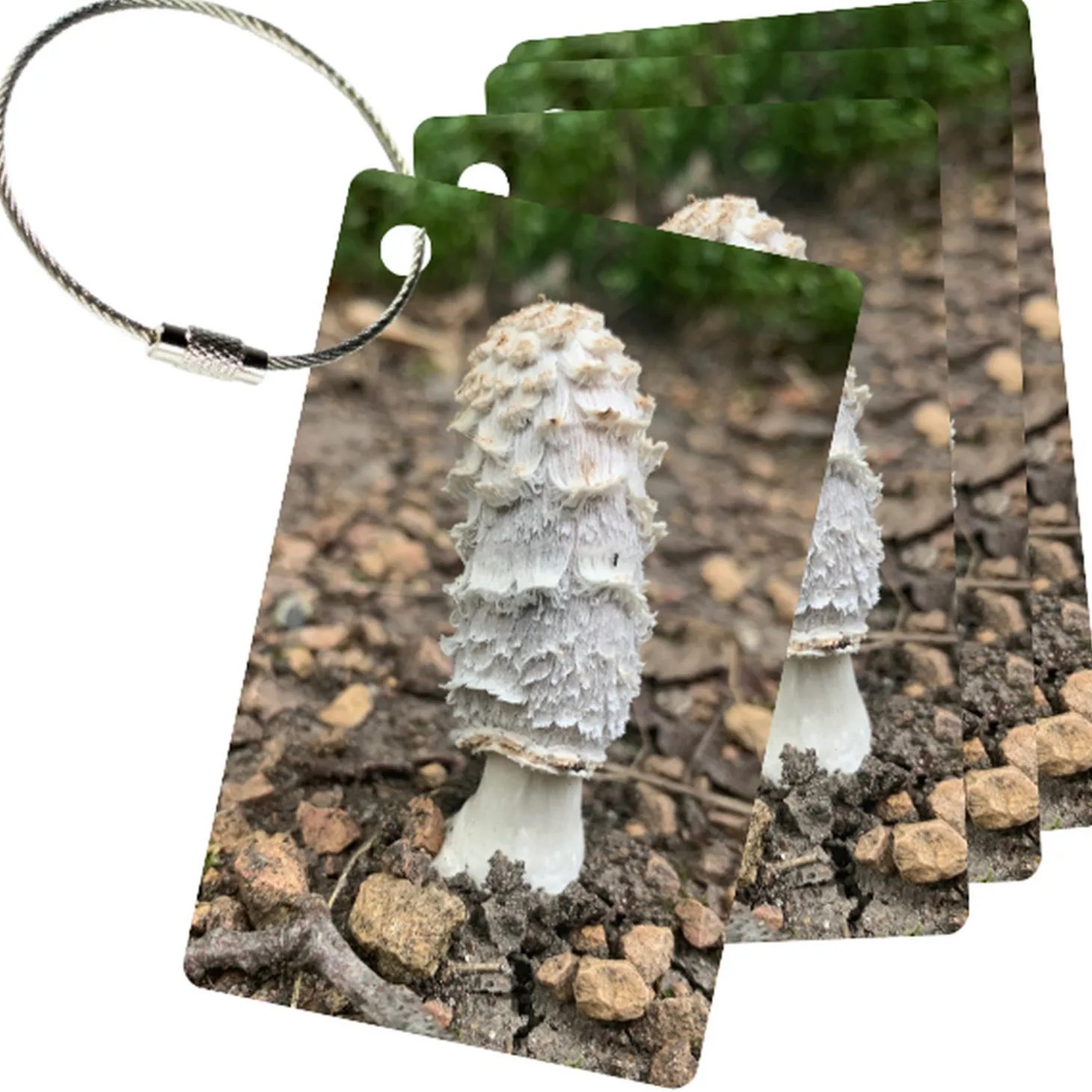 MyFly Personalized Luggage Tags with Metal Loop Upgrade - Only $2.75 each for 250 tags