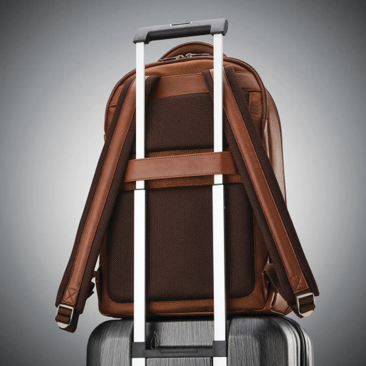Samsonite Classic Leather Backpack