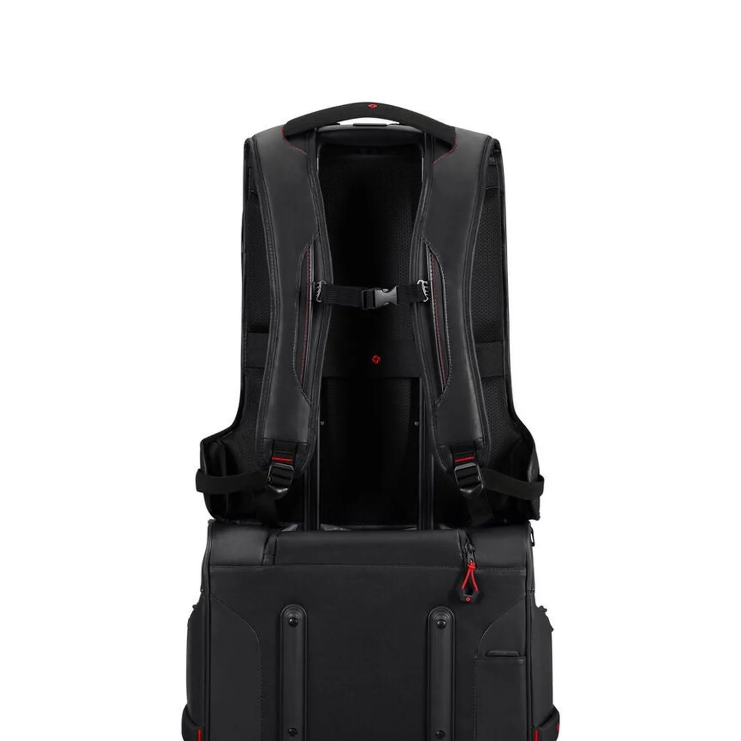 Samsonite Ecodiver Large Laptop Backpack