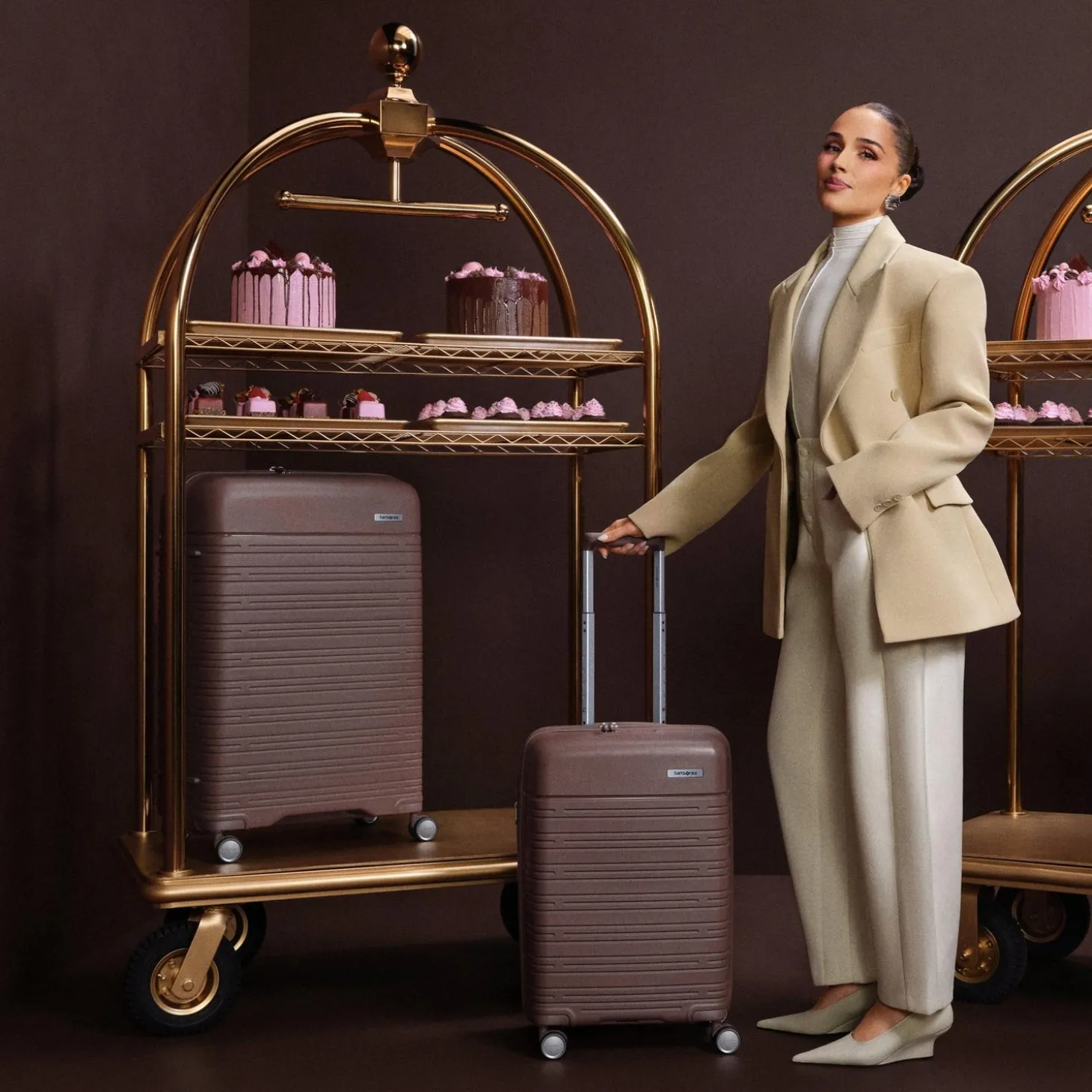 Samsonite Elevation Plus Hardside Large Spinner