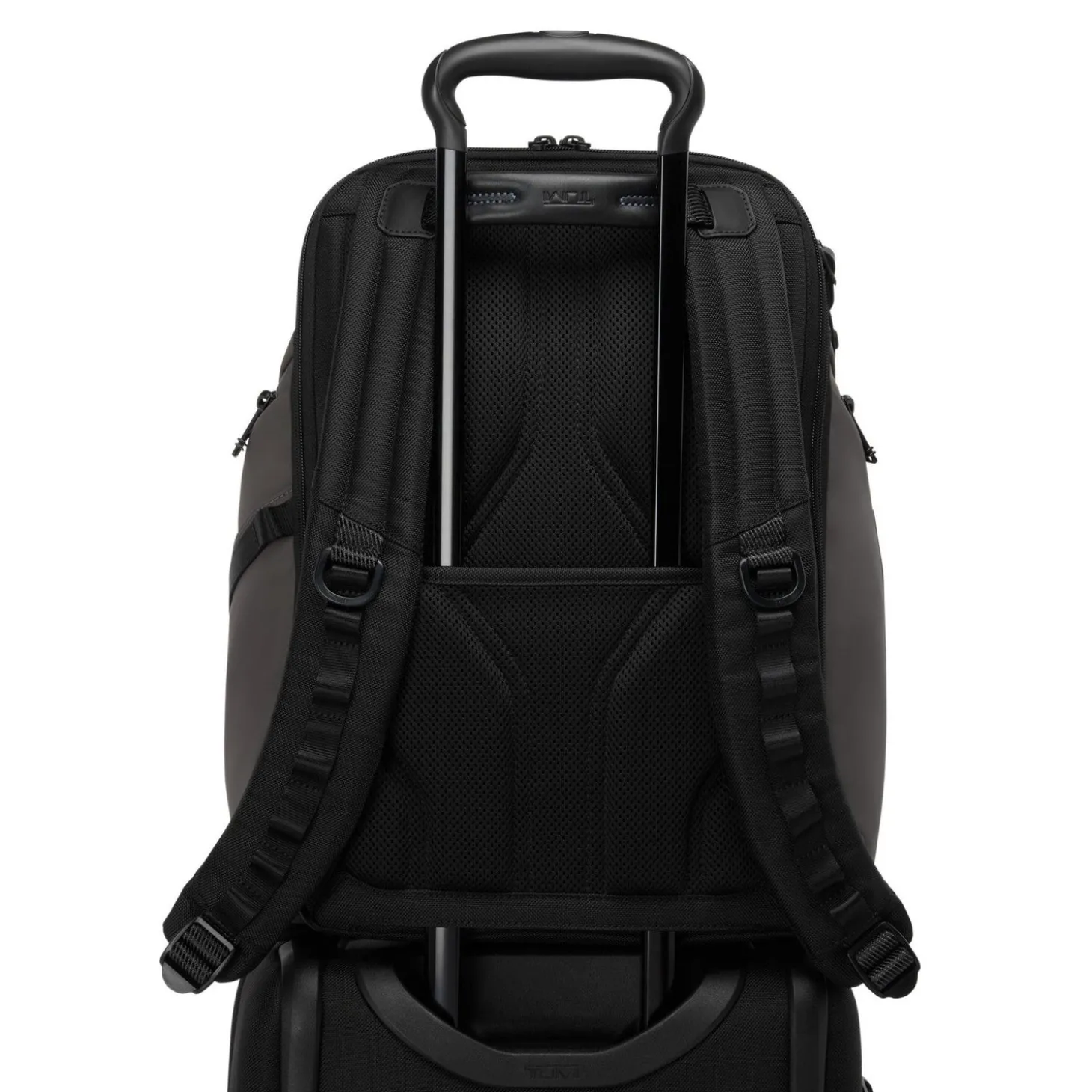TUMI Alpha Bravo Search Backpack
