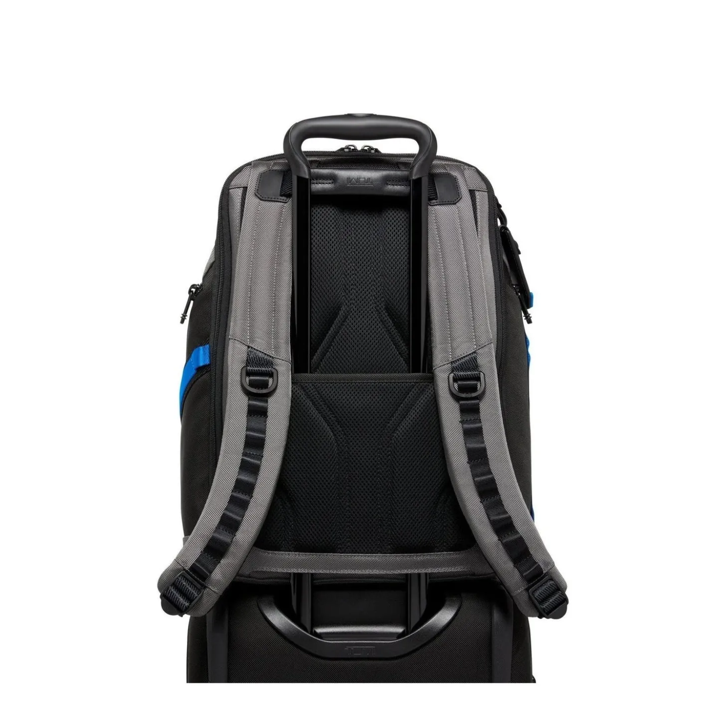 TUMI Alpha Bravo Search Backpack