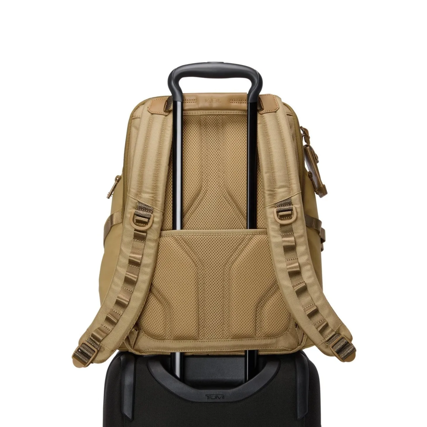 TUMI Alpha Bravo Search Backpack